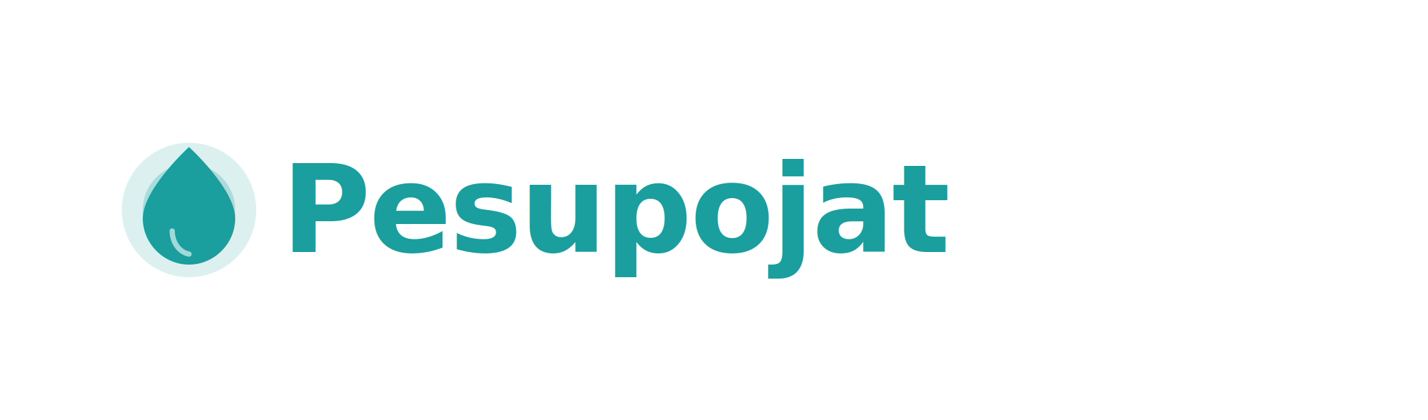 Pesupojat logo